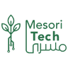 Mesori Tech Logo